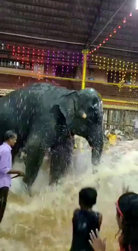 VsvN5qh1t MQvXPy.jpg