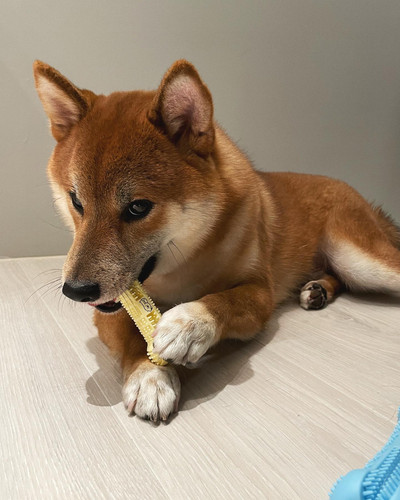 darren 1121 1659111689 2893161003619211367 1779195323.jpg