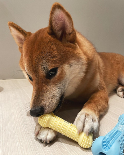 darren 1121 1659111689 2893161003510254156 1779195323.jpg