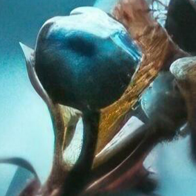 image1x2.png
