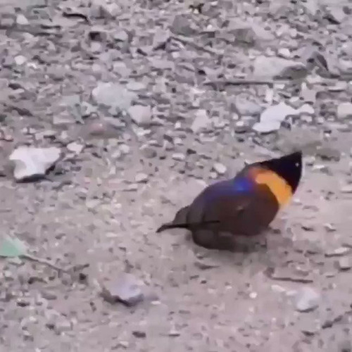 t7T3vb1o9OQfDsDJ.jpg