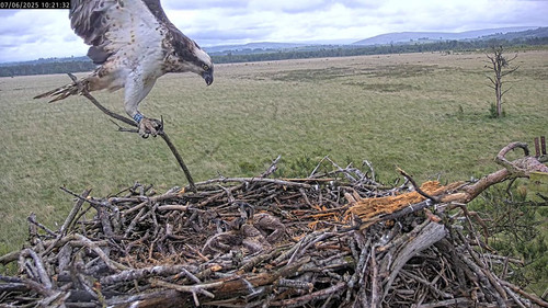 Gs1QE 8XcAAF0do.jpg