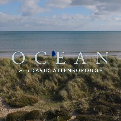 qOW BHqLYtyFvATT.jpg