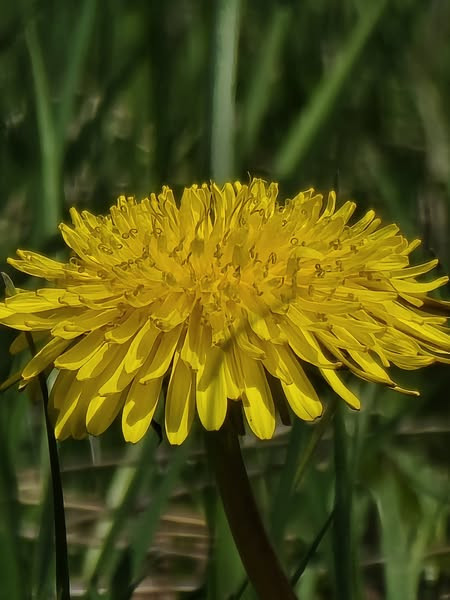 505358027 1122382513266205 446323943380956558 n.jpg?stp=dst jpg s600x600 tt6& nc cat=105&ccb=1 7& nc.jpg