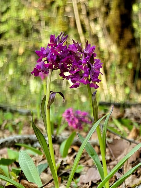 504483575 1122382549932868 1314634506870303734 n.jpg?stp=dst jpg s600x600 tt6& nc cat=108&ccb=1 7& n.jpg