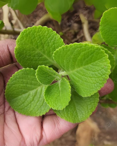 2613fc5c c7d6 4e20 8652 b63dc434.jpg