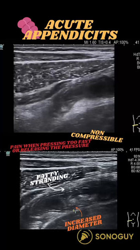 hwUNnGVbF2YRK z2.jpg