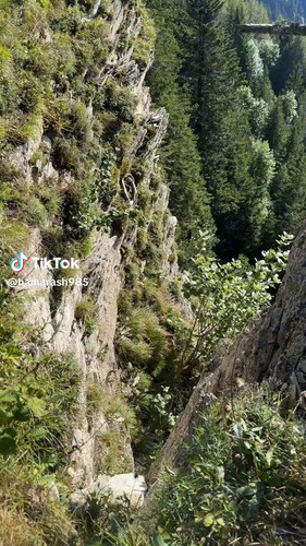 8h7L91UJgKLsc3Q .jpg