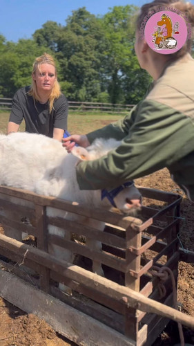 DEsTFdb VafodBU0.jpg