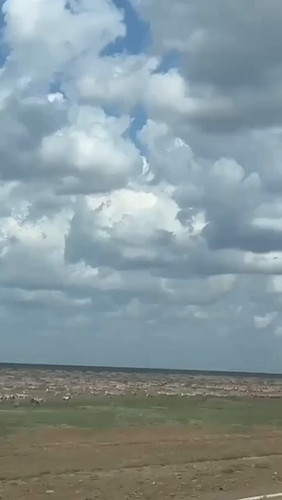 r6eFPh7X5djMkW Y.jpg