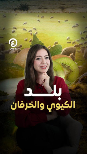 Z9T43egMbg t1RoG.jpg