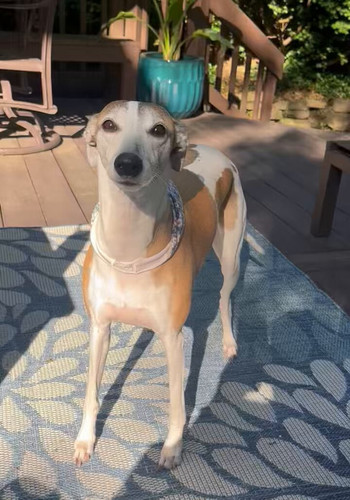 a0Tze LRfJDsJhas.jpg