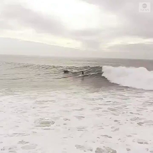 gHSorzR 1329ZDkh.jpg