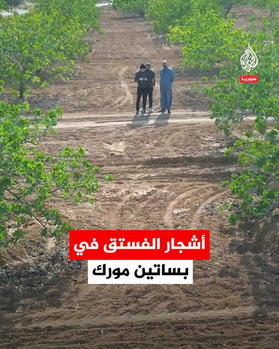 bdCXsfaERRg8r9b .jpg