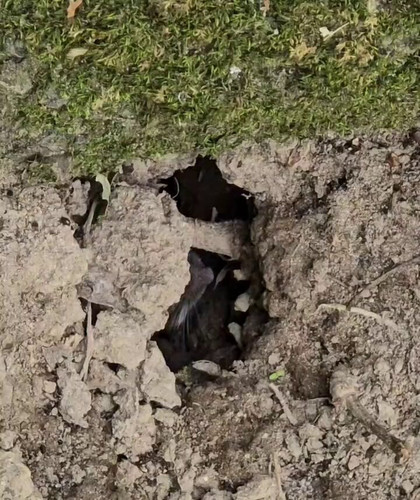 9MzaPx7P U9RIR7E.jpg