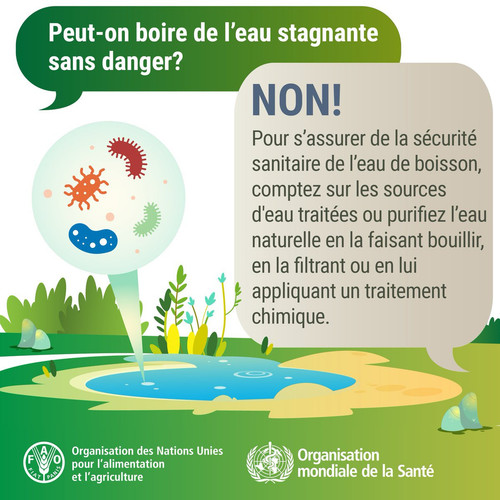 Gs02v jWoAAP4PQ?format=jpg.jpg