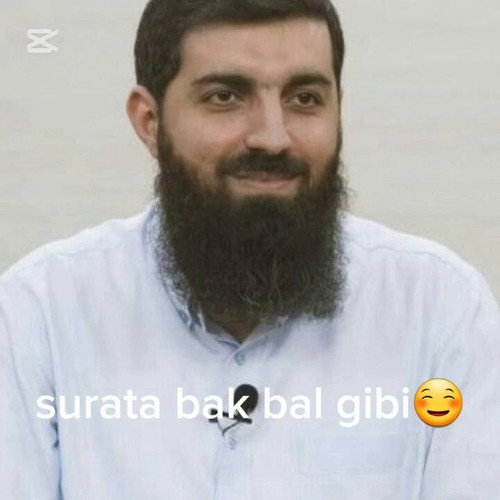 Ke3cS LYnksLCN91.jpg