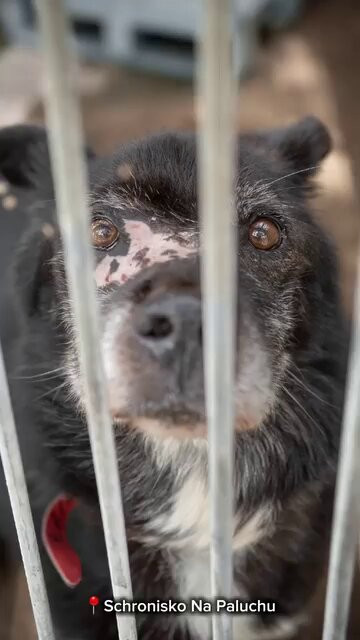 g64rkyiPkE05a h .jpg