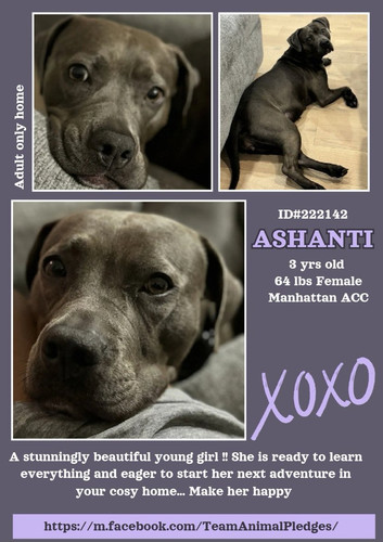 GmmRe zWkAAEi7V?format=jpg.jpg