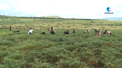 lsaJ7CBMsgHs qsZ.jpg