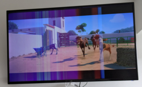 1000050214.jpg