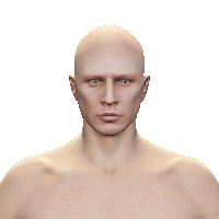 7bf763a02778.png