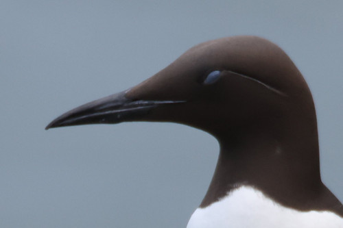 Gs1UGgHWMAARrBa.jpg