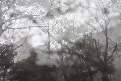 vlcsnap 2025 06 07 17h27m46s175.png