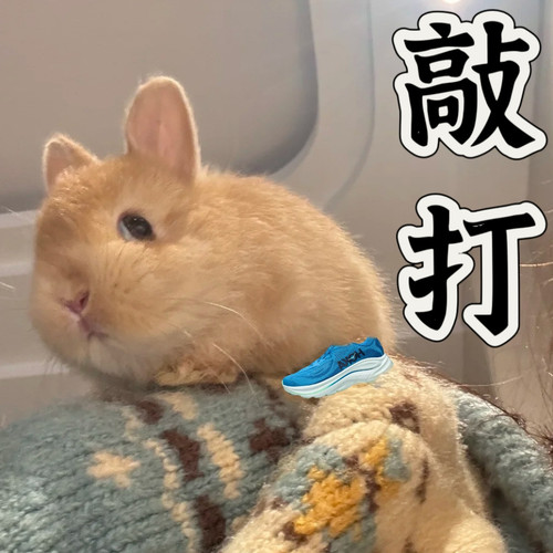 MEITU 20250509 091931577.jpg