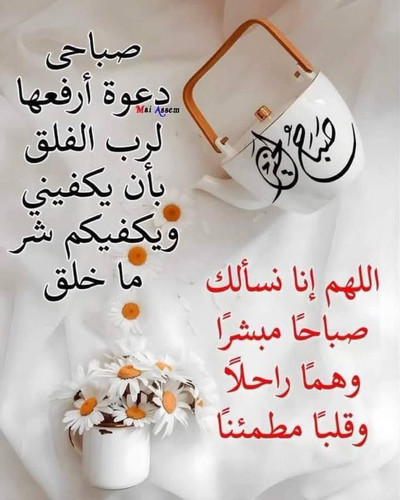 Gs5XH7zXsAA8Sof.jpg
