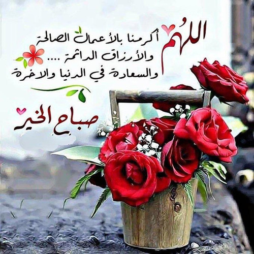 Gs5N6kzW8AAjaWe.jpg