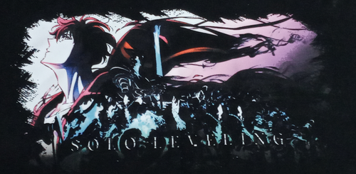 Solo Leveling Sung Jin Wu con personajes de costado acercamiento.png