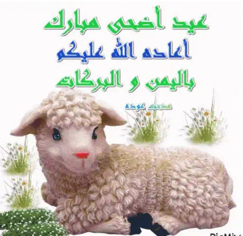 GsuzHDAXsAAt9QN.jpg