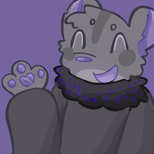 IMG 3337.png