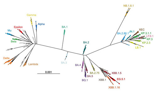 GszYH sb0AAPmxS?format=jpg.jpg