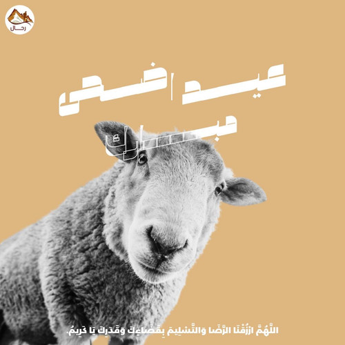 62682142 4acc 49a4 8e63 526cb84546b3.jpg