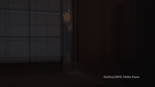 vlcsnap 2025 06 07 14h51m10s893.png