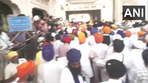 q1J1i fXAg2WZaen.jpg