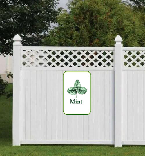 mint 001 3.jpg
