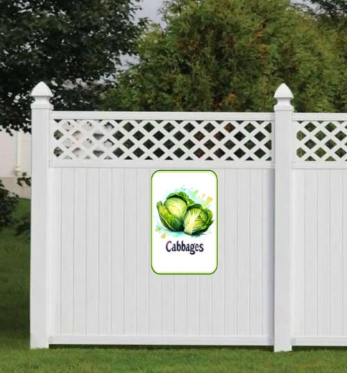 cabbages 001 3.jpg