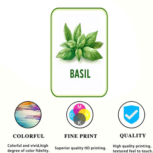 basil 001 1.jpg