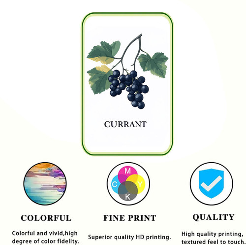 currant 001 1.jpg