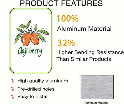 goji berry 2.jpg