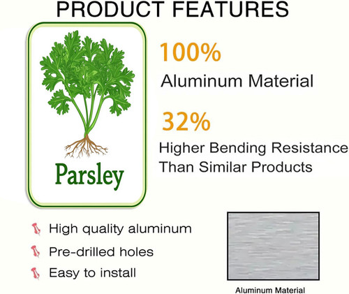 parsley 001 2.jpg
