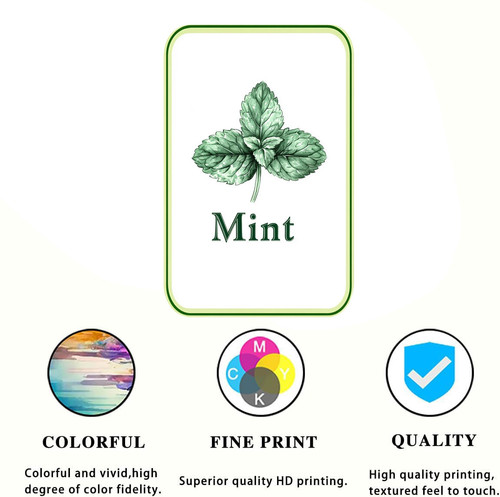 mint 001 1.jpg