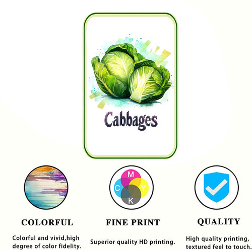 cabbages 001 1.jpg