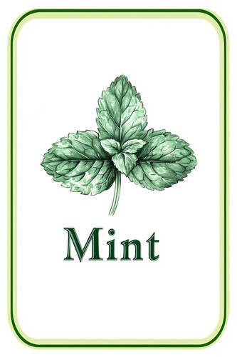 mint 001.jpg