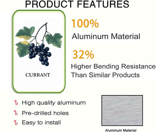 currant 001 2.jpg