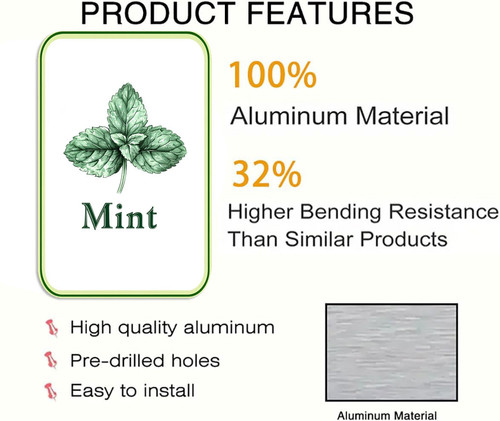 mint 001 2.jpg