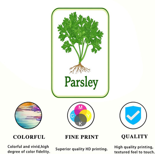 parsley 001 1.jpg